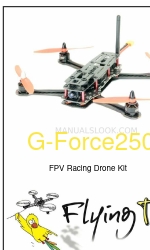 Flying Tech G-Force250 운영 매뉴얼