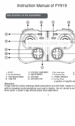 Flying3D FY919 Manual de instrucciones