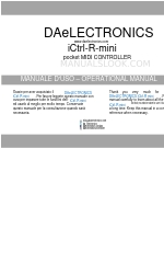 DAELECTRONICS iCtrl-R-mini Руководство по эксплуатации