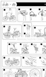 DAHON - 2010 Manual