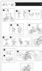 DAHON - 2010 Manual