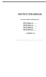 Daiichi Electronics WTT2-92A-33 Instrukcja obsługi