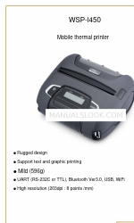 ANDIG WSP-i450 Manual