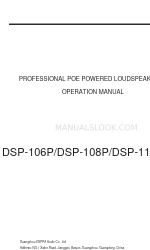 DSPPA DSP-110P Руководство по эксплуатации