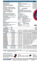 Absolute Process Instruments Cecomp Test+ CTP3B15PSIA Instruções