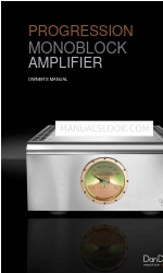 Dan D'Agostino Monoblock amplifier オーナーズマニュアル