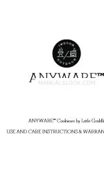 Anyware Instruments Little Griddle Manual