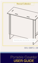 DANDELION Revival DBPC1 User Manual