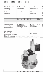 Dungs 219 571 Manuale di istruzioni