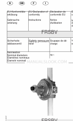 Dungs 225907 Anleitung Handbuch