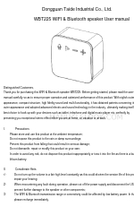 Dangguan Taide WBT225 Руководство пользователя