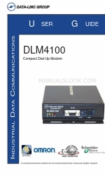 Data-Linc Group DLM4100 Руководство пользователя