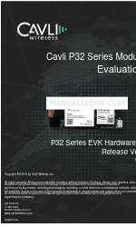 Cavli Wireless P32C31QM Hardware-Handbuch