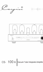 Cayin CS-100A 사용자 설명서