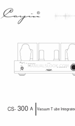 Cayin CS-300A User Manual