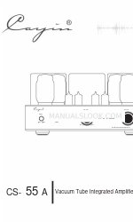 Cayin CS-55A Manuale d'uso