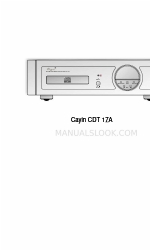 Cayin CDT-17A Panduan Pengoperasian