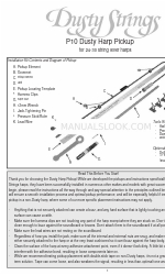 Dusty Strings P10 Manual de instrucciones