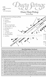 Dusty Strings P20 マニュアル