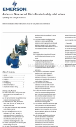 Emerson Anderson Greenwood 200 Series Çalıştırma ve Güvenlik Talimatları