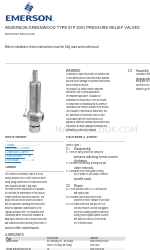 Emerson Anderson Greenwood 81P Maintenance Instructions