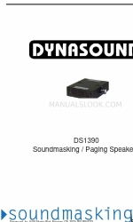 Dynasound DS1338 Руководство