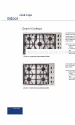 DCS CTD-365 Especificaciones