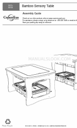 Copernicus SST02 Assembly Manual