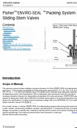 Emerson Fisher Enviro-Seal Graphite ULF Series Manuale di istruzioni