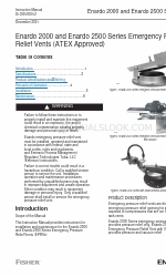 Emerson FISHIER Enardo 2000 Series Instruction Manual