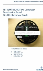 Emerson FB1100 Manual de sustitución