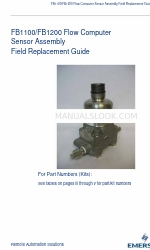 Emerson FB1200 Handbuch für den Austausch von Feldgeräten