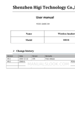 Higi Technology BH101 Посібник користувача