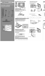 Dynex DX-19LD150A11 (Guide d'installation rapide