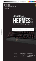 GAMDIAS HERMES LITE クイック・インストール・マニュアル