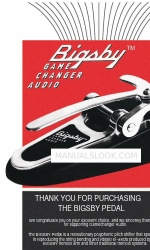 GameChanger Audio BIGSBY Hızlı Başlangıç Kılavuzu