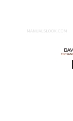 GAMING TRUNK CAVE Manuale