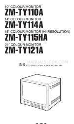 Ganz ZM-TY110A Instruction Manual