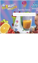 Jamba Juice Smoothie & Ice Pop Maker Instruction And Recipe Booklet