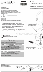 Brizo 64020LF-BL Manuale