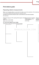 Lexmark C925 Print Defects Manual