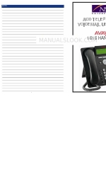 Avaya 1616 User Manual