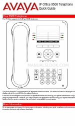 Avaya 9650 Deskphone Edition Beknopte handleiding