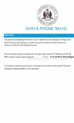 Avaya IP Office 9641 Посібник користувача