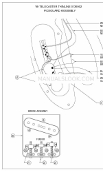 Fender '69 TELECASTER THINLINE 0136902 Montaggio