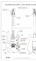 Fender DLX TRIPLE PLAY STRAT Manuale