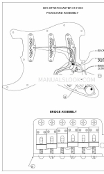 Fender Stratocaster Montagem