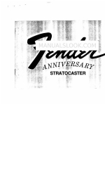 Fender Stratocaster Manual do utilizador