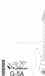 Fender VG Stratocaster G-5A Manual del usuario