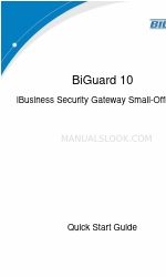 Billion iBusiness BiGuard 10 Посібник із швидкого старту